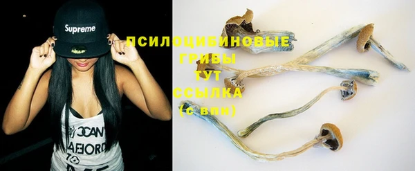 твердый Алексеевка